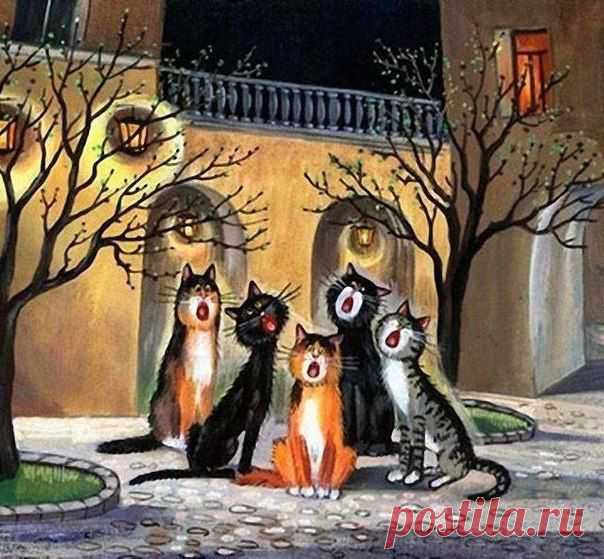 Новости