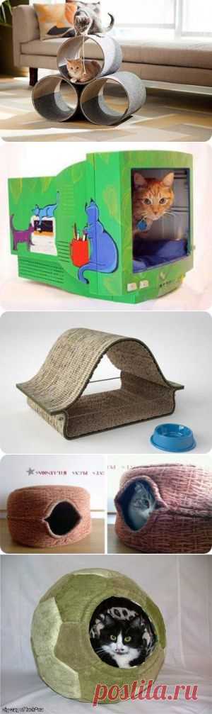 КОШАЧЬИ ДОМИКИ.