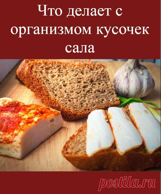 Что делает с организмом кусочек сала: этого вы не знали
Ссылка на аватар пользователя Живые Люди - Здоровье, Энергия, Мотивация!
Живые Люди - Здоровье, Энергия, Мотивация!