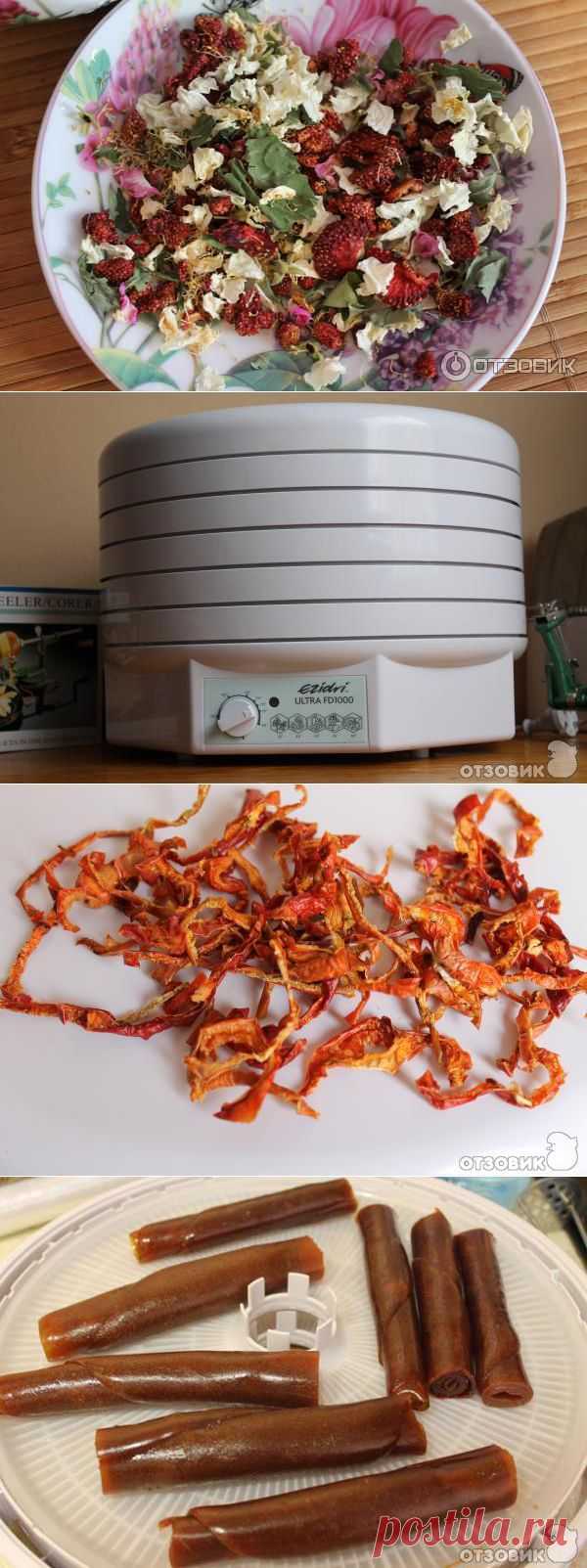 Отзыв о Сушилка для овощей, фруктов, мяса Ezidri FD1000 | Отличная вещь для здорового питания! (Новые фото!)