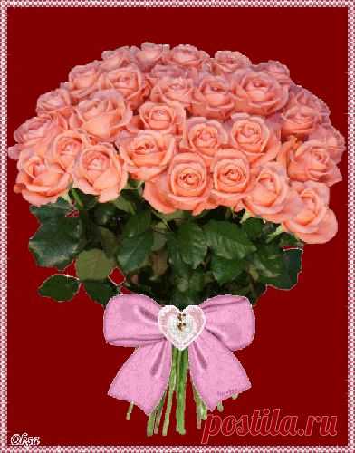 Плейкаст «РОЗОВЫЕ РОЗЫ!!!»