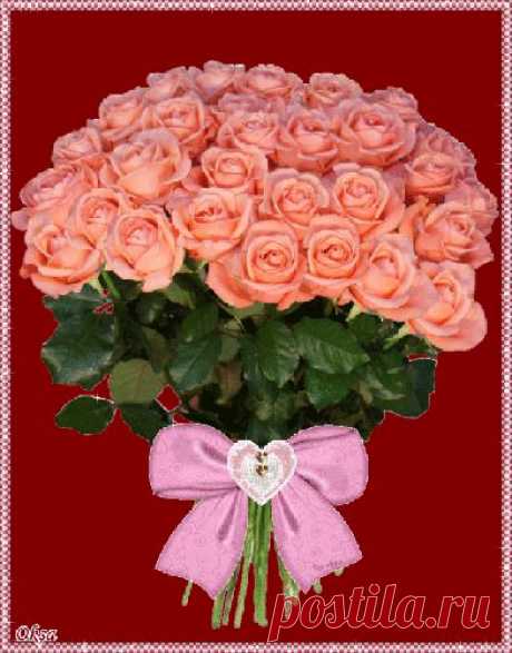 Плейкаст «РОЗОВЫЕ РОЗЫ!!!»