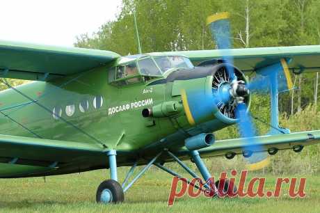 ПЕТРОВИЧ | Чёрт побери Показательные выступления парашютистов местного аэроклуба на каком-то крупном авиационном празднике. Техник команды - Петрович, проводив в старенький АH-2 последнюю партию спортсменов в ярких комбинезонах, решил, что можно наконец расслабиться.  Он зашел в ветхий сарайчик 2х2, расположенный на краю летного поля, в котором складировалось всякое ненужное барахло, аккуратно прикрыл дверь, достал из нычки пузырь портвейна и, вытерев руки о свой ярко-желт...