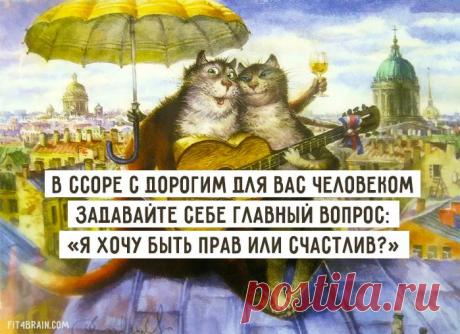 Совет дня – Фитнес для мозга