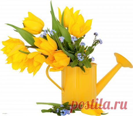 geltulp023.png (5888×5149)