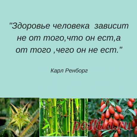 Что касается Питания, все сводится к одному – Еде. Вы можете кушать все, что захотите, но где гарантия, что клетка получит то, что ей надо? Вы можете сами сделать выбор, чем вы будете питаться, либо это будет колбаса, пицца, шоколад, гамбургеры, либо - это будут фрукты, овощи и натуральные продукты. Важно понять, что клетки не едят мясо, колбасу, чипсы, пельмени – это ест человек. А организм тратит огромное количество энергии, чтобы все это переработать и извлечь оттуда питание для клеток.