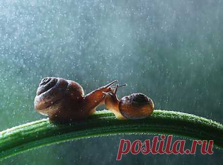 Мама и сыночек