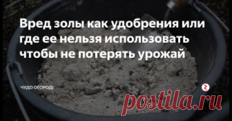 Вред золы как удобрения или где ее нельзя использовать чтобы не потерять урожай О пользе золы говориться очень много,но бывают и такие случаи когда золу попросту нельзя использовать на своем участке. Рассмотрим в каких случаях золу использовать нельзя.
Зола прекрасно справляется с вредителями и грибковыми заболеваниями.
Ею можно проводить опрыскивания и тем самым защищать растения от болезней.
Но вносить золу непосредственно в почву необходимо только осенью,чтобы она успела в