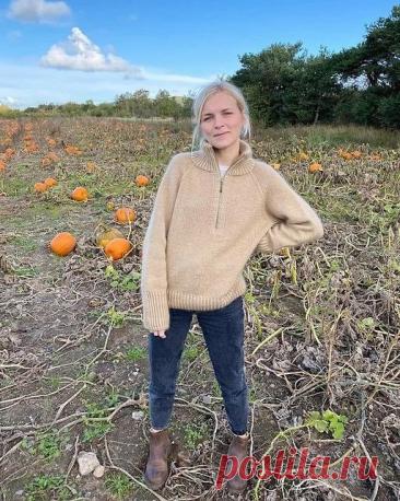 Пост на стене #вязание #спицы #джемпер #свитер #реглан #молния