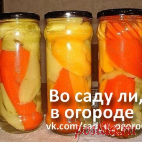 Маринованный перец