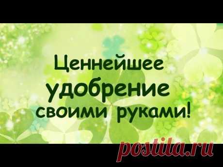Ценнейшее удобрение своими руками!