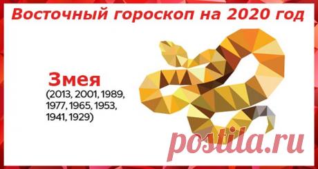 Восточный гороскоп на 2020 год Змея: женщины и мужчины