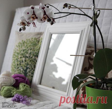 Дизайн &amp; Декор