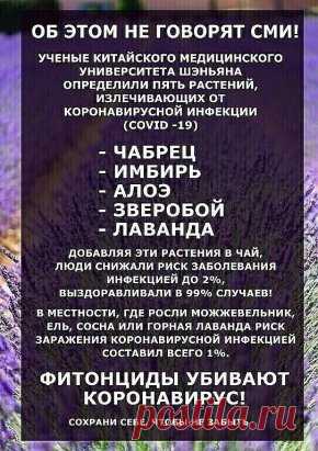 Лишним не будет. Растения,излечивающие от коронавирусной инфекции.