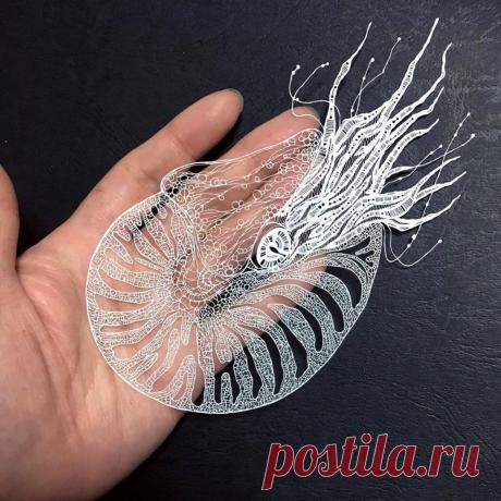 Мой Мир@Mail.Ru