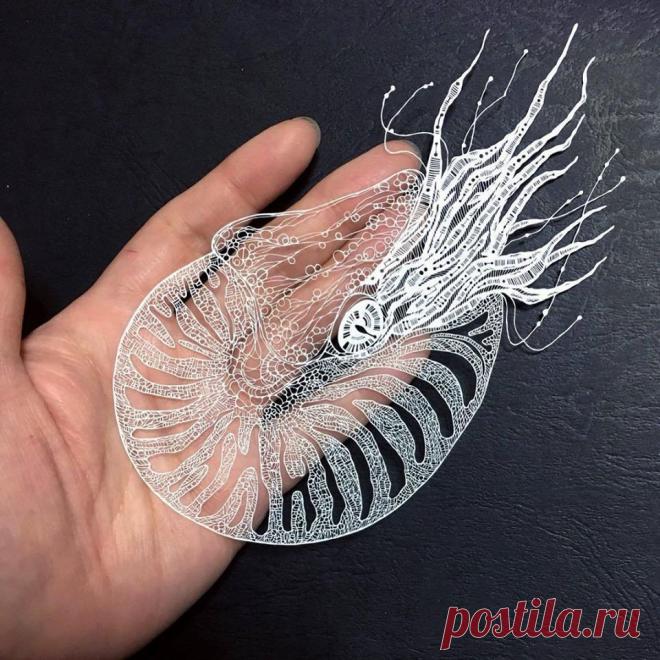 Мой Мир@Mail.Ru