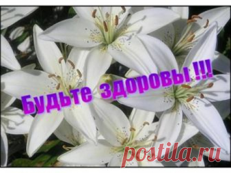 НАШИ МЫСЛИ ВЫЗЫВАЮТ КАК БОЛЕЗНИ, ТАК И ВЫЗДОРОВЛЕНИЯ...
