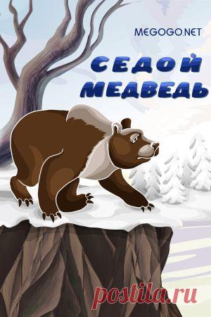 Мультфильм "Седой медведь" - смотреть легально и бесплатно онлайн на MEGOGO.NET
