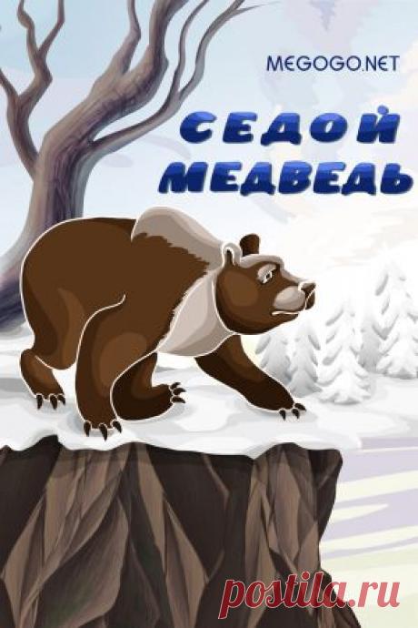 Мультфильм &quot;Седой медведь&quot; - смотреть легально и бесплатно онлайн на MEGOGO.NET