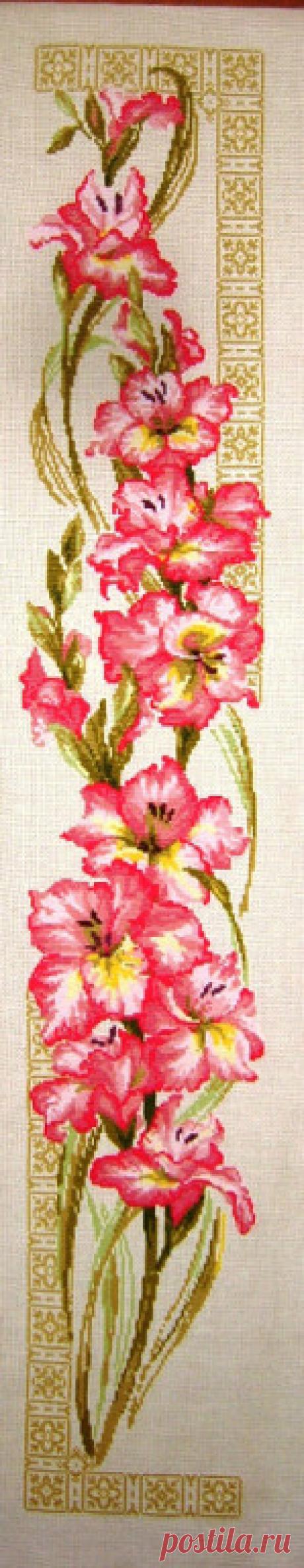 Риолис, гладиолусы