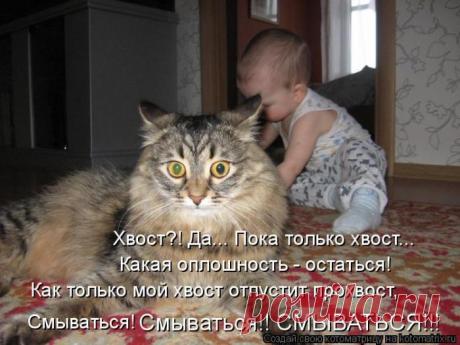 Смываться!!!