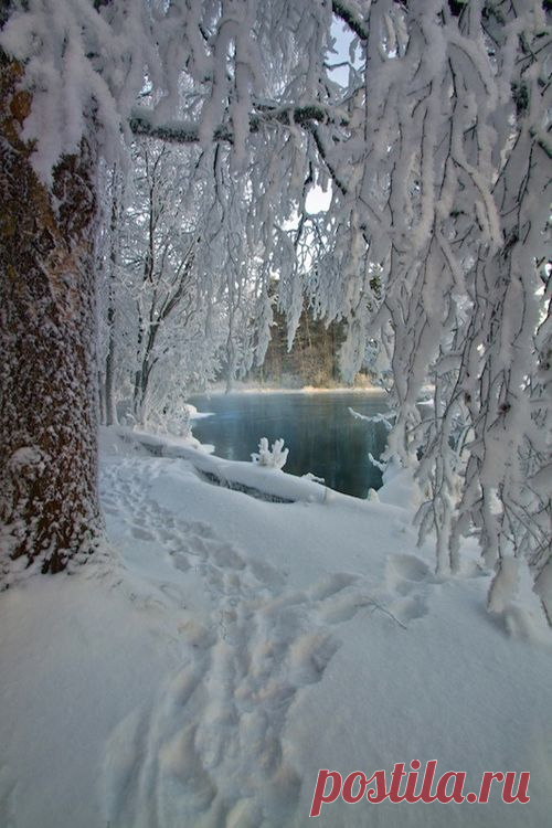 thelordismylightandmysalvation: “ chasingrainbowsforever: “ Winter Water Wonderland ” ”  |  Pinterest • Всемирный каталог идей
