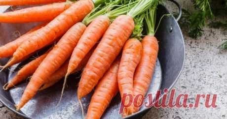 Заготовки из моркови на зиму - самые вкусные и полезные рецепты | Статьи (Огород.ru)