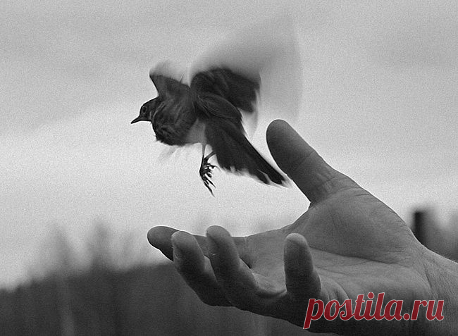 Как почувствовать прилив счастья и удовольствия.... | Познавательный сайт ,,1000 мелочей"