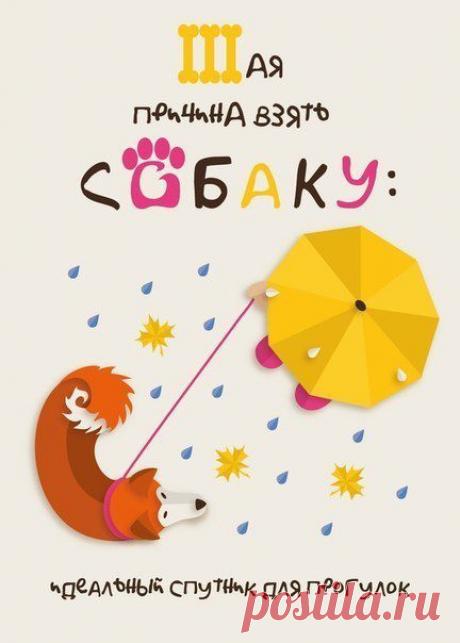 Семь причин завести собаку