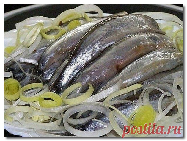 Мойва слабосоленая - очень вкусно!