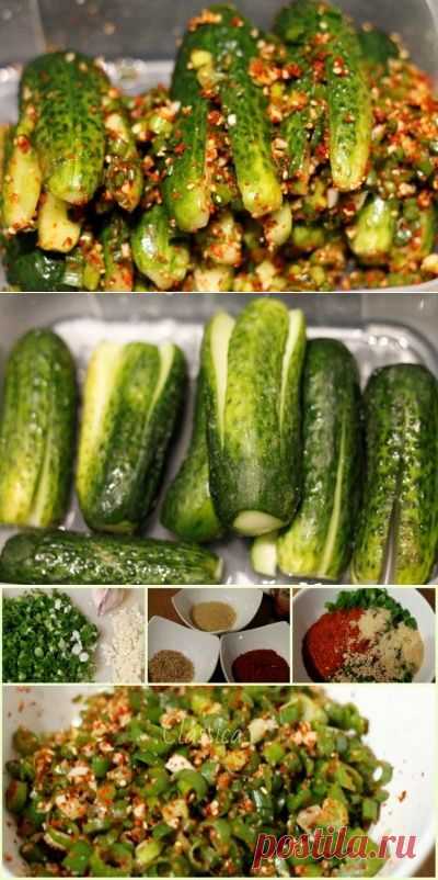 Ои Собаджи (кимчи из огурцов, огурцы по корейски) : Закуски и бутерброды