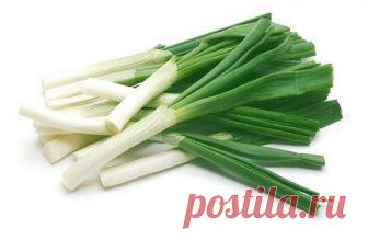 Лук порей выращивание из семян: особенности технологии