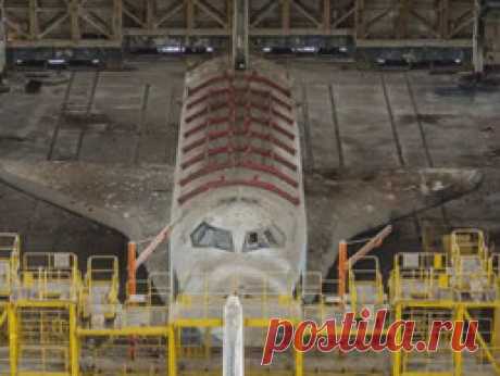 черный кал у кошек - причина