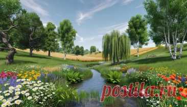 Ароморфозы растений: Главные эволюционные прорывы