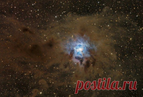 NGC 7023: туманность Ирис / Интересный космос