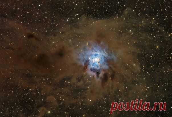 NGC 7023: туманность Ирис / Интересный космос