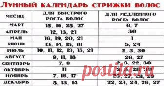 КОГДА НУЖНО СТРИЧЬ ВОЛОСЫ!