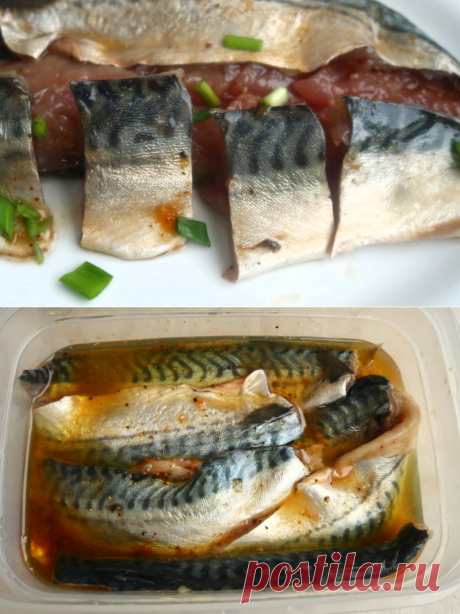 Скумбрия, маринованная с пряностями — Мой кулинарный дневник