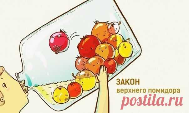 30 ироничных законов жизни.