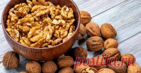 Полезные свойства, плюсы и минусы использования орехов в рационе от диетологов