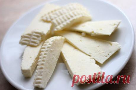 Какие блюда можно приготовить из адыгейского сыра