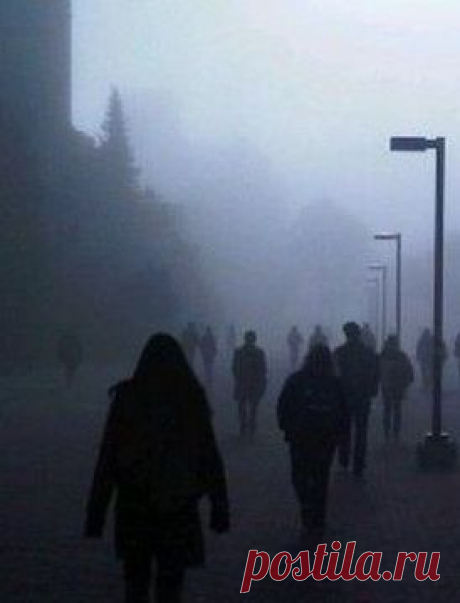 День на зевок (Натуропат) / Проза.ру