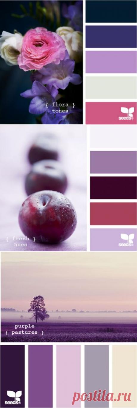 Anasteisha: Самые лучшие сочетания цветов уже придуманы природой.