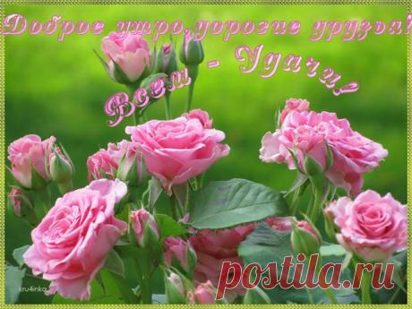 БИБЛИОТЕКА | Записи в рубрике БИБЛИОТЕКА | Дневник mila60