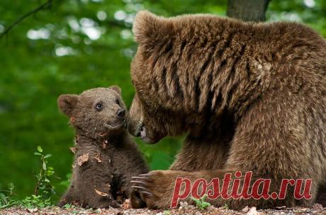 Семейный альбом / Путешествия / Моя Планета