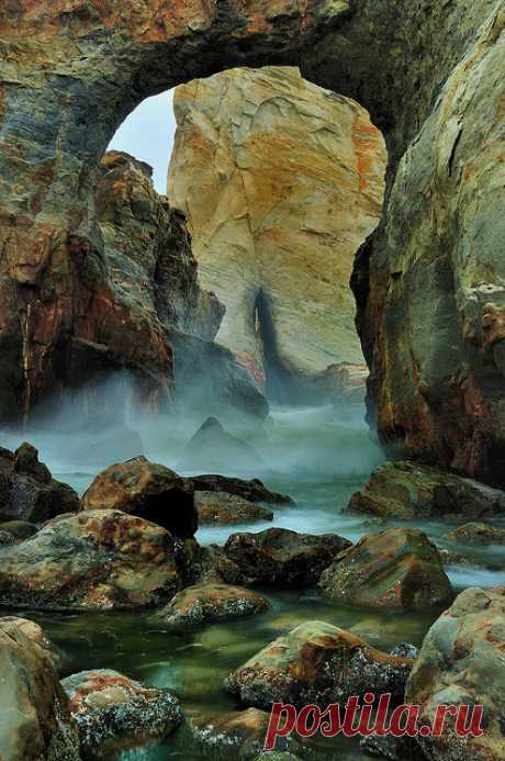 natureac:
“Take The 52 Week Photo Challenge or Check Out DSLR cameras here
”