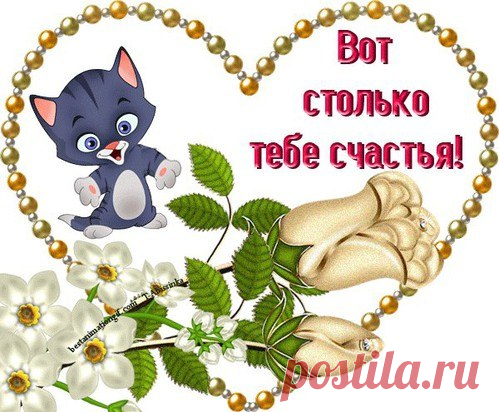 Людмила Верховенко