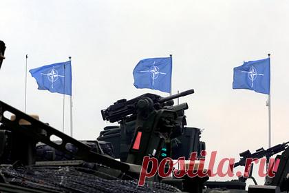 Бывшие советские республики посоветовали не принимать в НАТО. Старший научный сотрудник вашингтонского Института Брукингса Майкл О'Хэнлон заявил, что Западу не следует принимать в НАТО бывшие советские республики. По его словам, Запад должен разработать новую архитектуру безопасности для нейтральных стран Восточной Европы и бывших республик Советского Союза.