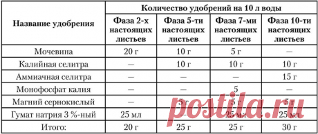 как развести мочевину для подкормки рассады: 12 тыс изображений найдено в Яндекс.Картинках