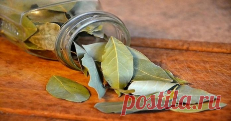 Подпалите лавровые листья в доме и посмотрите, что произойдет через 10 минут!